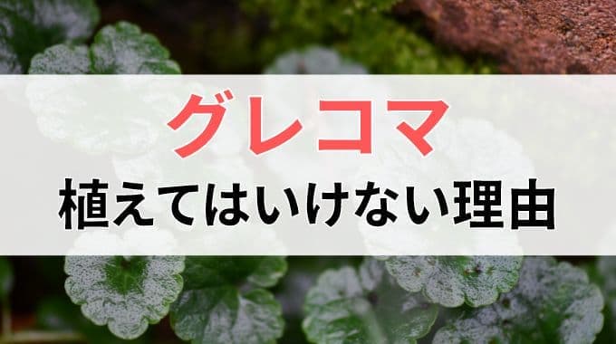 グレコマを植えてはいけない理由について